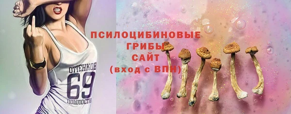 СК Богородск