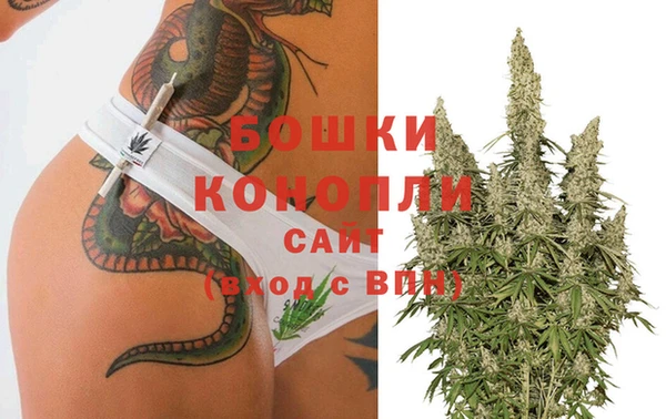 стаф Рославль