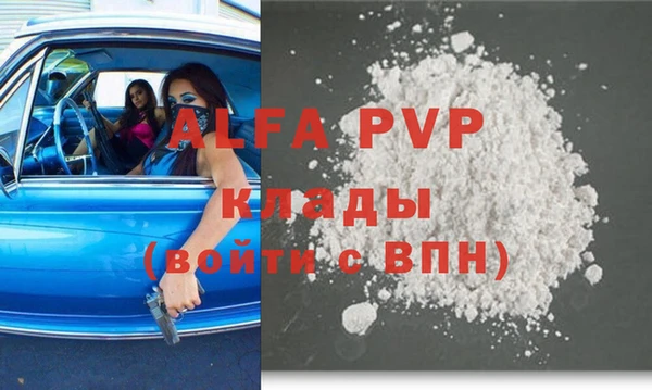 СК Богородск