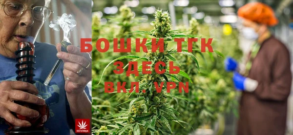 мяу мяу кристалл Богданович